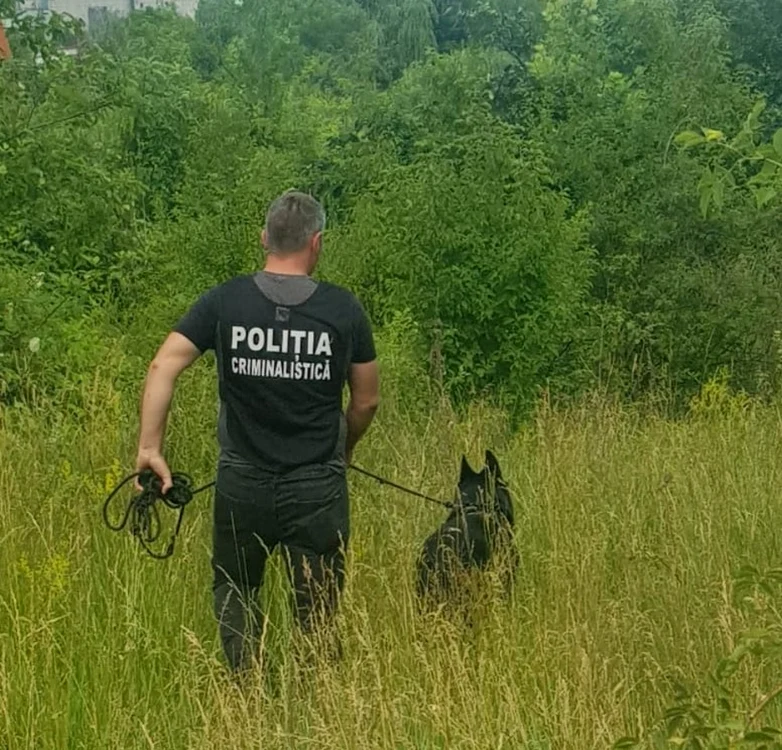 VAS l-a găsit pe bătrânul care a dispărut de acasă                                                   Foto: Poliţia Gorj