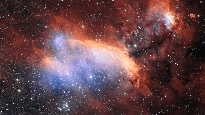 Horoscop săptămâna 7-13 decembire 2024