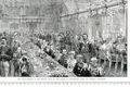6 profimedia 0118730433 jpg jpeg