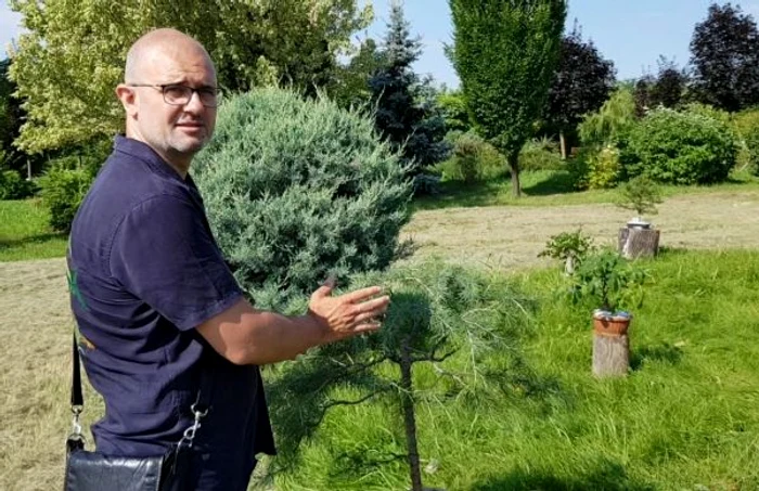 Andrei Bocan, pasionat de cultura bonsai, a plantat în curtea casei sale o minipădure