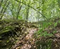 Cetatea dacică Bănița Foto Daniel Guță ADEVĂRUL (60) jpg