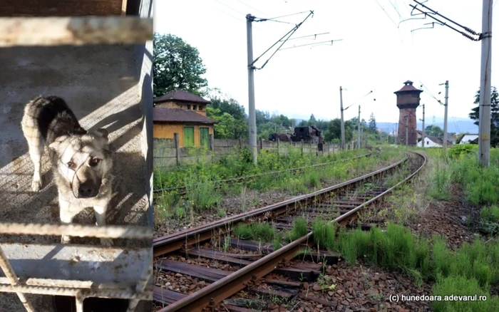 Zona staţiei CFR Petroşani (dreapta). Foto: Daniel Guţă. ADEVĂRUL.