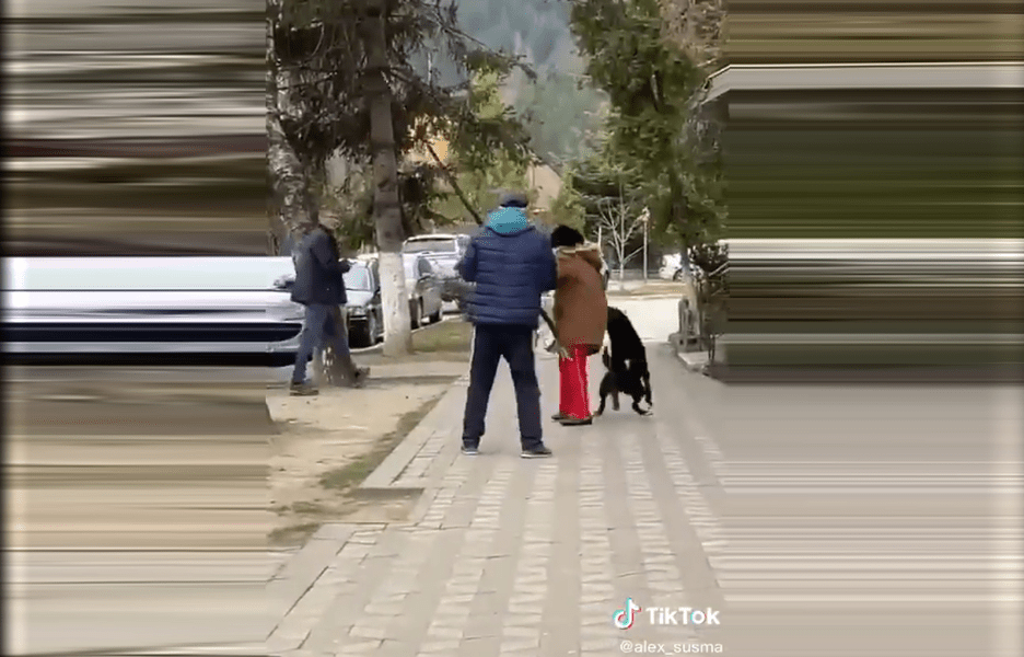Femeie atacată și trântită de un câine agresiv. Un bărbat a intervenit, însă în apărarea animalului VIDEO