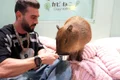 dorian popa capibara captura video jpg