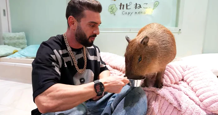 Dorian Popa, față în față cu capibara în Japonia / foto: captură video