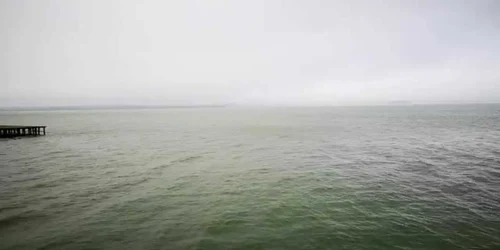 5df09c895163ec4271e87656 jpg