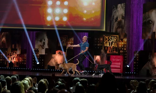 Cesar Millan Live Las Vegas 8/15/14 jpeg