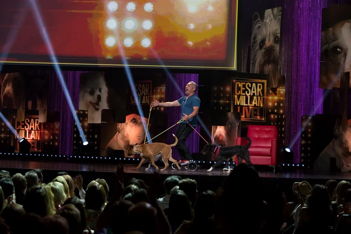 Cesar Millan Live Las Vegas 8/15/14 jpeg