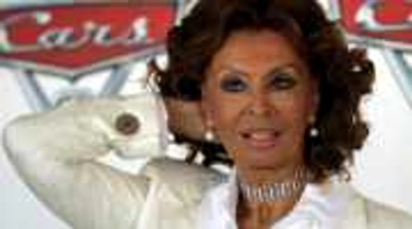 Sophia Loren 