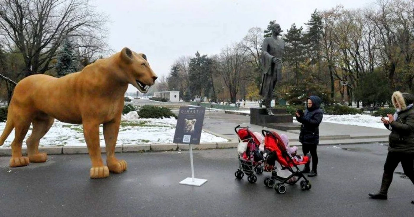 documentar bbc dinastii foto bbc