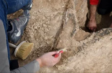 O barcă sumeriană extrem de rară, descoperită în apropierea ruinelor orașului mesopotamian Uruk (foto: Julia Nador / Deutsches Archäologisches Institut)