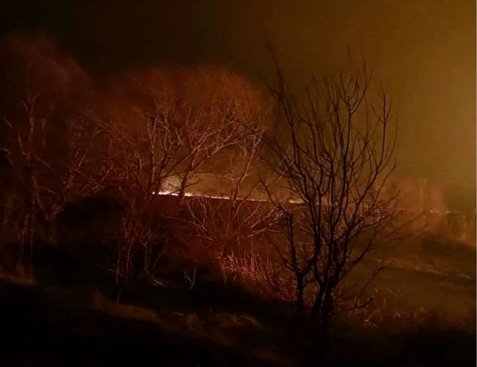 La începutul lunii februarie, un incendiu a izbucnit în apropiere de Sulina FOTO ISU Delta
