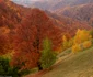 Culorile toamnei în Parcul Naţional Buila - Vânturariţa din judeţul Vâlcea Foto Mihai Răducanu