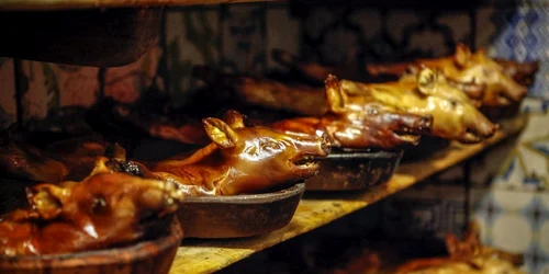 restaurant botin metropoli.com