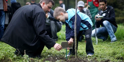 100 de arbori şi arbuşti, plantaţi în curtea Colegiului “Gheorghe Airinei” din sectorul 6