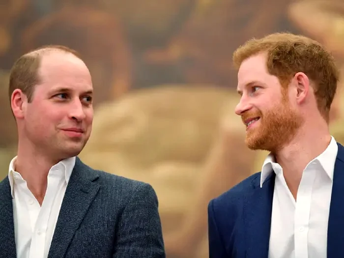 Harry și William. FOTO: Arhivă presă