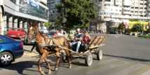 Căruţaşii obţin venituri nelegale din transportul deşeurilor de la curţi sau „sortarea“ celor de la ghene Foto: Alex Policală