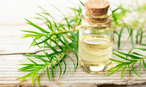 ulei arbore de ceai jpg