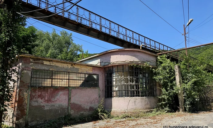 Otelu Rosu Foto Daniel Guță (2) jpg