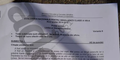 SUBIECTE EVALUARE NAŢIONALĂ