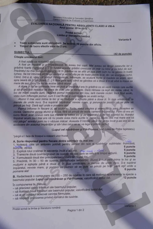 SUBIECTE EVALUARE NAŢIONALĂ