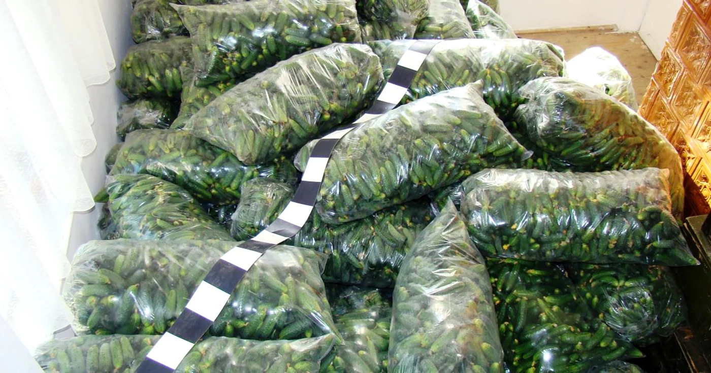 Cele 4 tone de castraveţi au fost confiscate