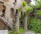 Curtea Veche din București a ajuns într-o avansată stare de degradare 