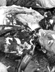 Amintiri de la Stalingrad  Scrisorile ofiţerilor germani despre cea mai teribilă bătălie din al Doilea Război Mondial jpeg