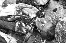 Amintiri de la Stalingrad  Scrisorile ofiţerilor germani despre cea mai teribilă bătălie din al Doilea Război Mondial jpeg