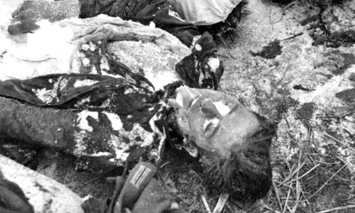 Amintiri de la Stalingrad  Scrisorile ofiţerilor germani despre cea mai teribilă bătălie din al Doilea Război Mondial jpeg