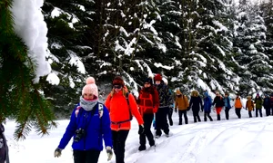 Agenții de turism specializate în drumeții pe munte au organizat excursii de o zi, în cadrul cărora turiștii parcurg pe jos trasee superbe, prin păduri și sate pitorești  jpeg