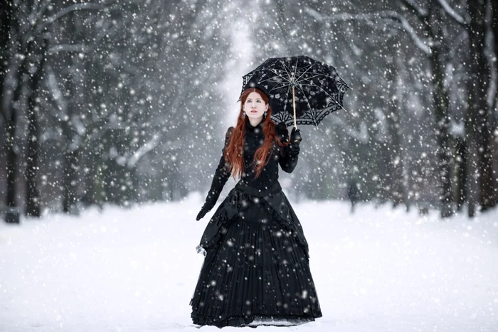 woman in victorian dress in a winter park 2023 11 27 04 58 47 utc 2 1536x1024 jpg
