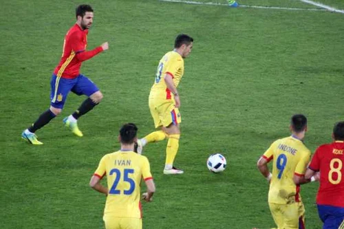 Romania Spania gazon