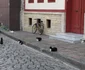 100 9678 0 JPG