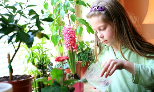 1 fetita uda florile 51610264 jpg jpeg