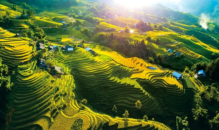 Orezăriile terasate din Sa Pa. Foto: X/@TravelTheWorldSmart