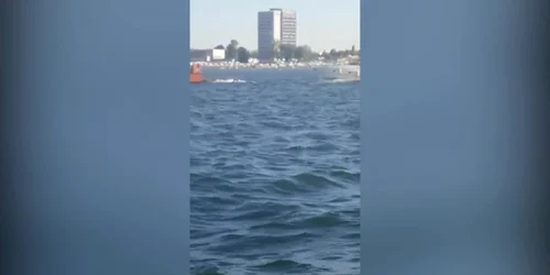 5f4b3d485163ec42717b75ff jpg