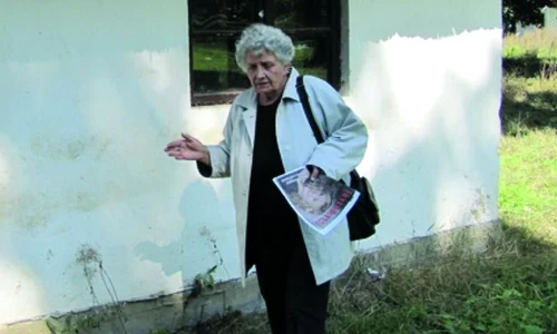 Istorie în paragină la Muzeul Satului din Timişoara jpeg