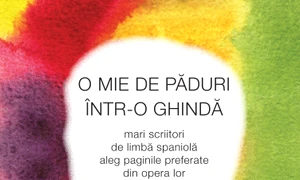 Pentru că ea nu a cerut jpeg