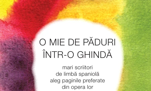 Pentru că ea nu a cerut jpeg