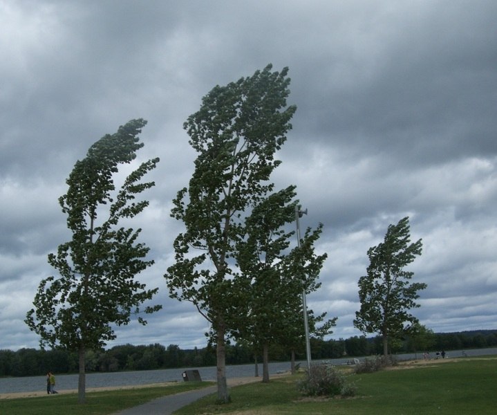 Romunijo prizadelo opozorilo zaradi močnega vetra