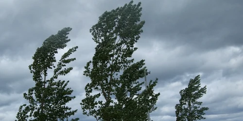 vant atentionare meteo jpeg