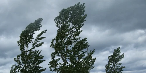vant atentionare meteo jpeg