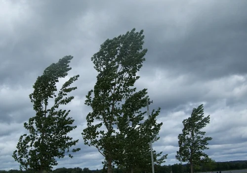 vant atentionare meteo jpeg