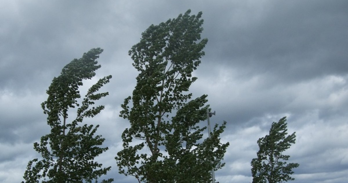 Avertizări ANM la sfârșit de săptămână. Cod galben de vânt puternic în mai multe județe, cu rafale de până la 90 – 100 km/h