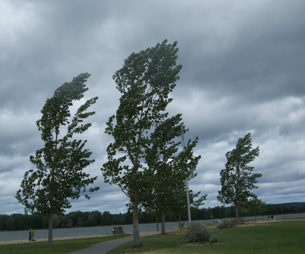 Avertizări ANM la sfârșit de săptămână. Cod galben de vânt puternic în mai multe județe, cu rafale de până la 90 – 100 km/h