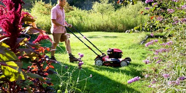 Mașină de tuns iarbă, gazon Foto Better Homes & Gardens jpg
