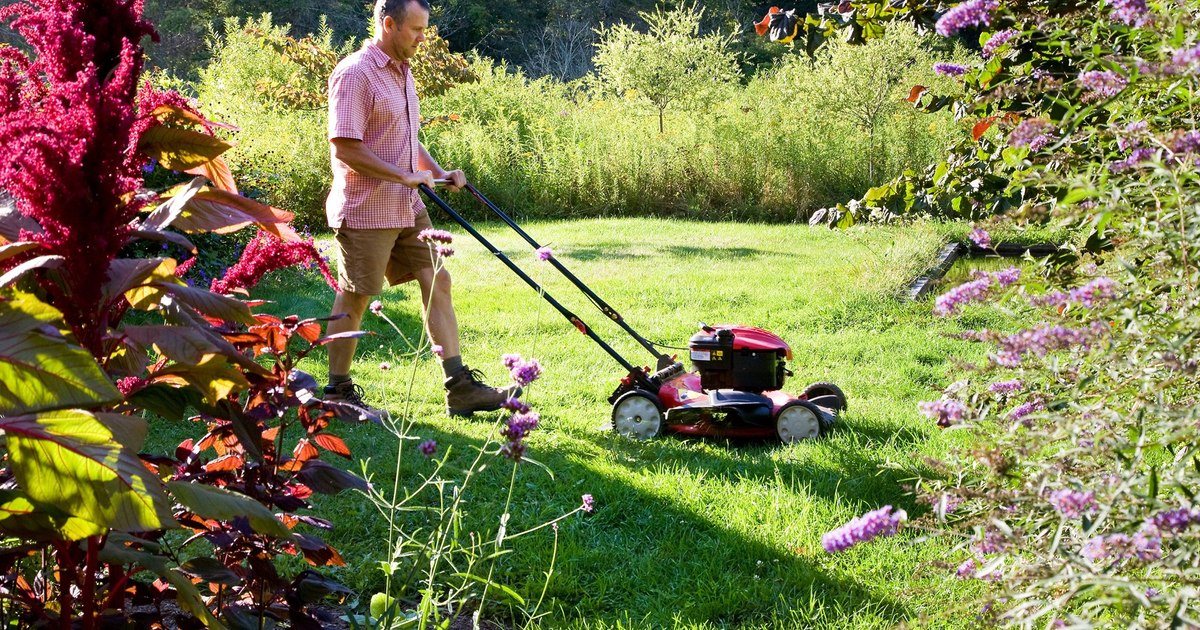 Cea mai bună mașină de tuns iarbă 2026: electrică, manuală, pe benzină sau acumulator? Ce alegi în funcție de curte, fără să dai banii degeaba