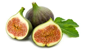 smochine fotolia 16524226 subscription l jpeg