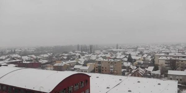zapada arad 